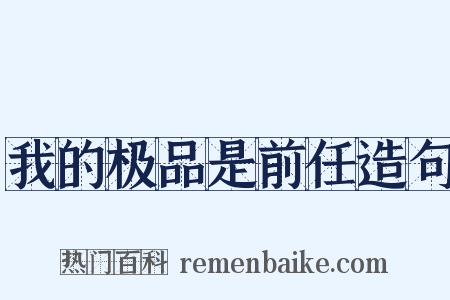 我的极品是前任造句是什么意思的图片